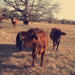 Meet your Posher, Becca